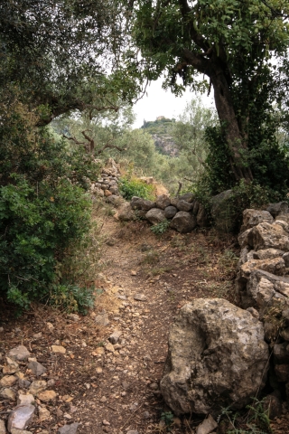 Kardamyli, Mountain Track, '10.