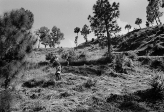 Kausani, Uttarakhand, '01.