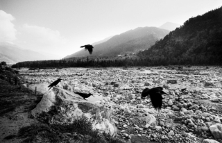 Beas River/Crows, Nr.Manali, '01.