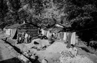 Roadside Camp, Refugees, Nr.Manali, '01.
