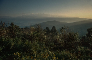 The Himalaya's at Dawn, From Kausani, '01.