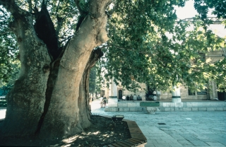 Amasya, Mosque, '06.