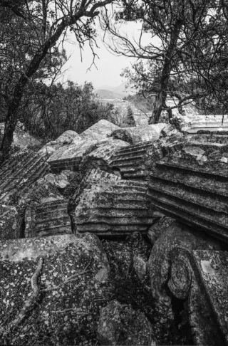 Termessos, Scattered Columns, '01.