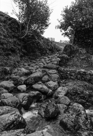 Stream/Path,Cumbria.