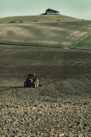 Tractor,Pewsey Downs,Wiltshire.