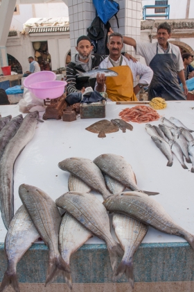 Fishmongers, Essaouira, Morocco.  '17.