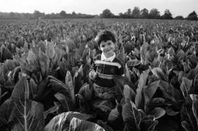 Rob in cabbage field.