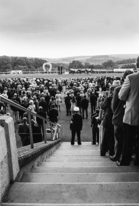 Finishing Line, Goodwood Race Course.