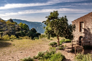 Novara di Sicilia.