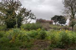 Agriturismo San Marco 6