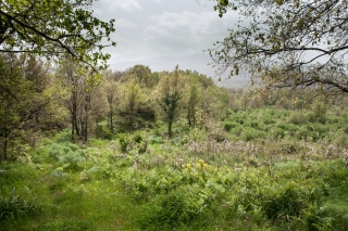 Agriturismo San Marco [Mt. Etna], 13