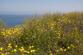 Lipari, Aeolian Isles, 19.