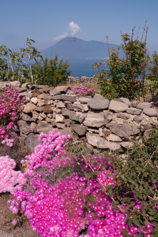 Lipari [Panarea], Aeolian Isles, 21.