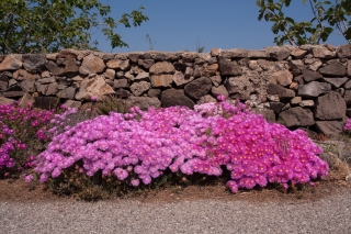 Lipari, Aeolian Isles, 22.