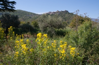 Castiglione di Sicilia 1.