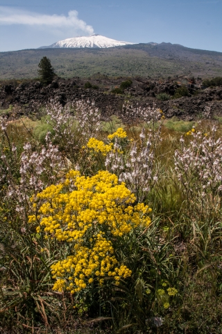 Mt Etna 6.