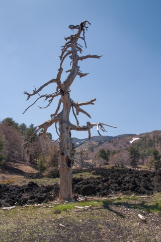 Mt Etna 7.