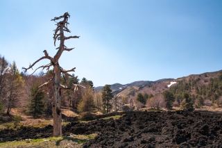 Mt Etna 8.