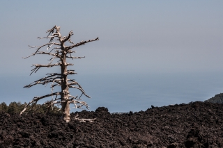 Mt Etna 12.