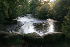 River Dart, Dartmoor.