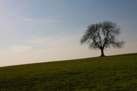 Nr Chedder, Somerset.