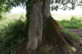 Cadbury Castle, Somerset 6.