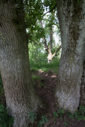 Cadbury Castle, Somerset 7.