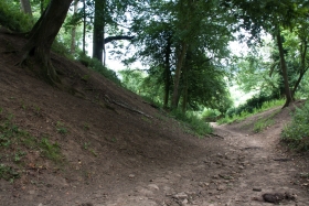 Cadbury Castle, Somerset 8.