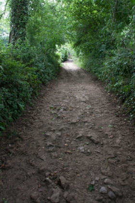 Path to Cadbury Castle, Somerset 3.