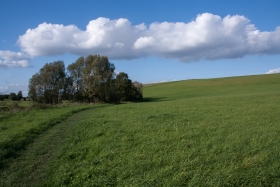 By Silbury Hill, Avebury, Wilts 4.