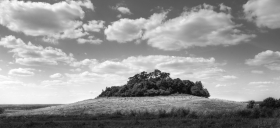 Wittenham Clumps, Round Hill, 2018. 4.