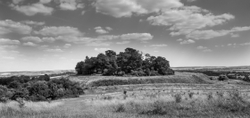 Wittenham Clumps, Castle Hill, 2018. 3.