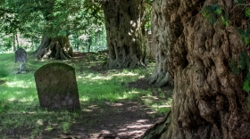 Capel-y-ffin Cemetary, Powys, '19.