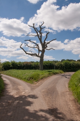 Nr Chisbury, Wilts, '20.