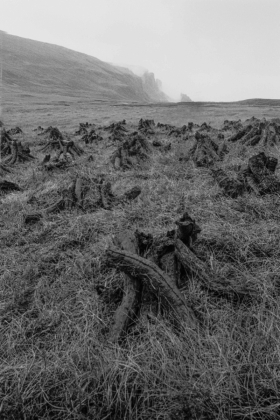 Trotternish, Isle of Skye, Scotland.