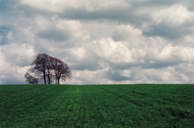 Wittenham Clumps, Oxfordshire. '93. 2.