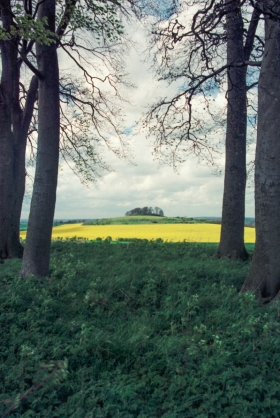 Wittenham Clumps, Oxfordshire. '93. 4.