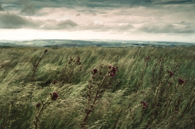 English/Scottish Border.