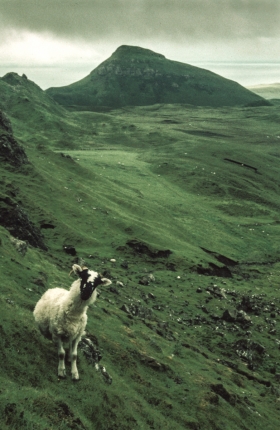 Trotternish, Isle of Skye, Scotland.