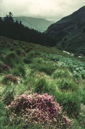 Cadre Idris, Wales.