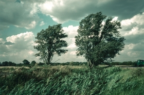 Essex Marshes.