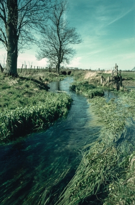 By Silbury Hill, Avebury, Wilts .