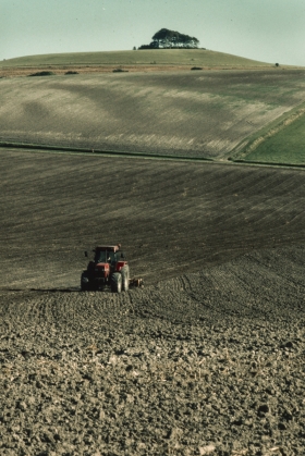 Pewsey Downs, Wilts 1.